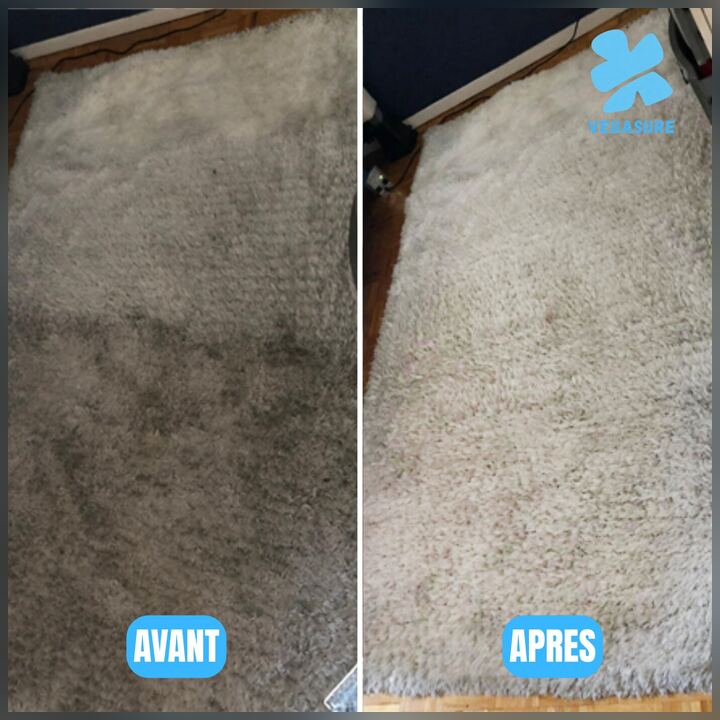 Tapis shaggy gris avec traces de passage avant nettoyage, fibres relevées et claires après
